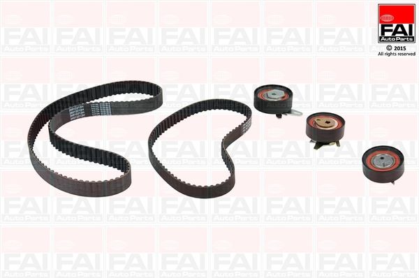 FAI AUTOPARTS Комплект ремня ГРМ TBK329